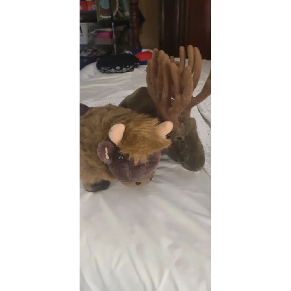 Buffalo and moose stuff animals